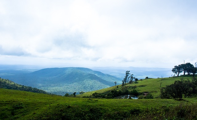 36岁奥巴梅扬无缘美加墨世界杯，下一届世界杯时他已41岁